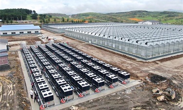 助力綠色農業發展！貴州3萬平蔬菜大棚建設碧淶空氣能采暖工程